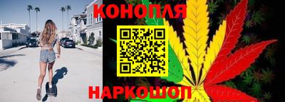 сатива Краснодар