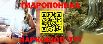 сатива Краснодар