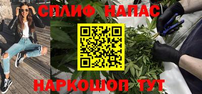 сатива Краснодар