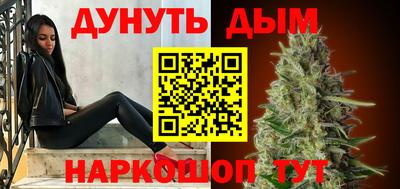 сатива Краснодар