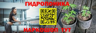 apvp Краснокаменск