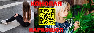 сатива Краснодар