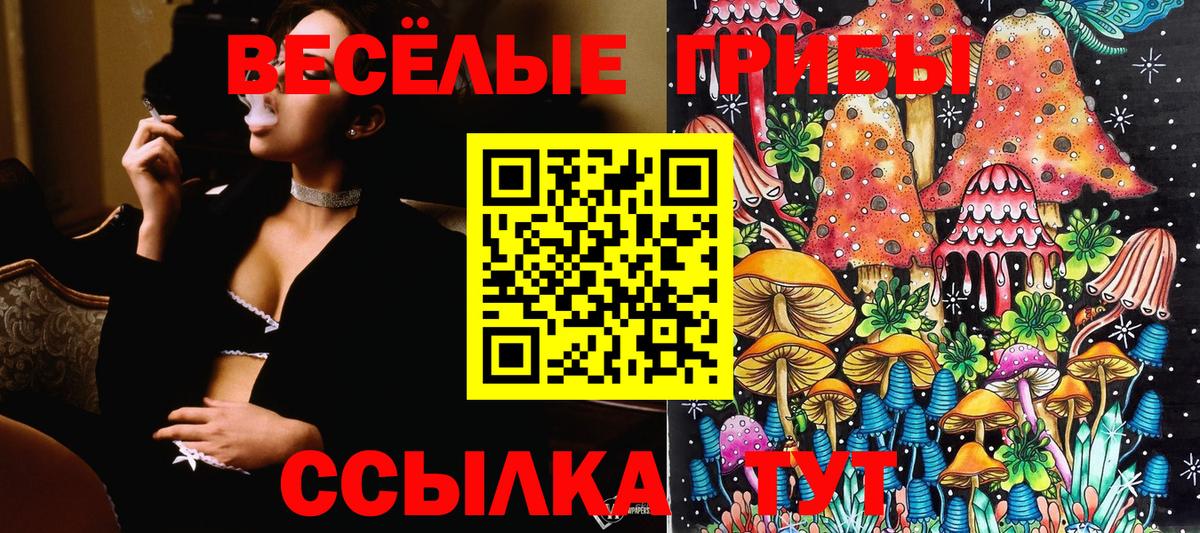 Псилоцибиновые грибы прущие грибы Вятские Поляны