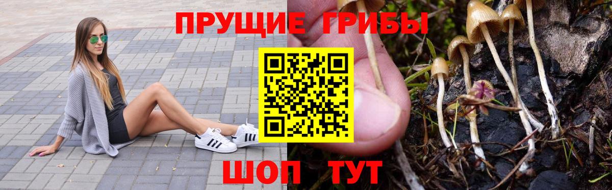 Галлюциногенные грибы GOLDEN TEACHER  Псилоцибиновые грибы ЛСД  Вход с VPN  Вятские Поляны 